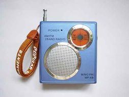 衡陽(yáng)市金鼎電子有限責(zé)任公司 電子產(chǎn)品領(lǐng)域的創(chuàng)新與擔(dān)當(dāng)