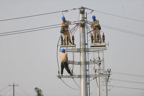 線路避雷器 基本原理、關鍵技術要求與電力工程應用詳解